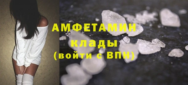 шишки Алексин
