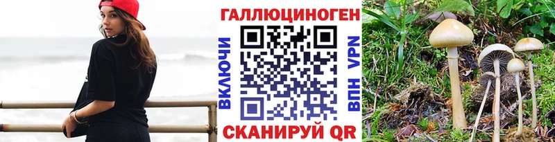 Галлюциногенные грибы Magic Shrooms Можга