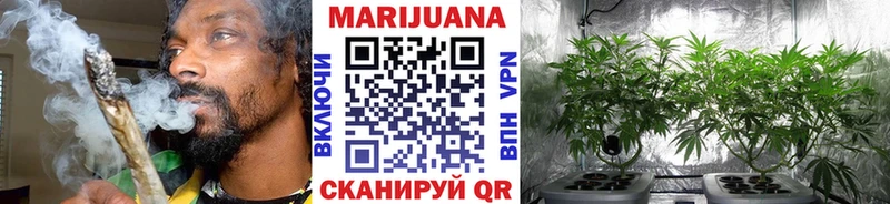 Бошки Шишки тримм  Можга 